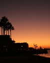roni_ackerman Altpins Profile Picture