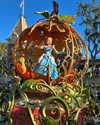 roni_ackerman Altpins Profile Picture