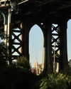 roni_ackerman Altpins Profile Picture