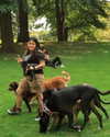 roni_ackerman Altpins Profile Picture