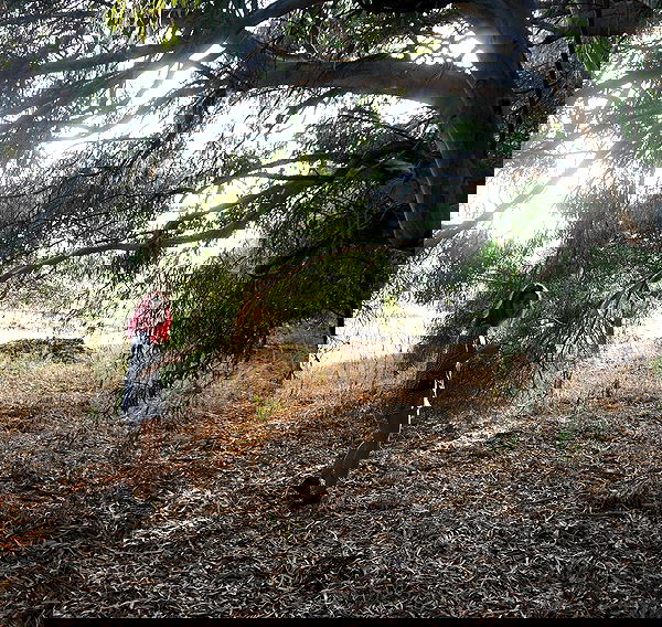 ronyida_ image ~ Altpins