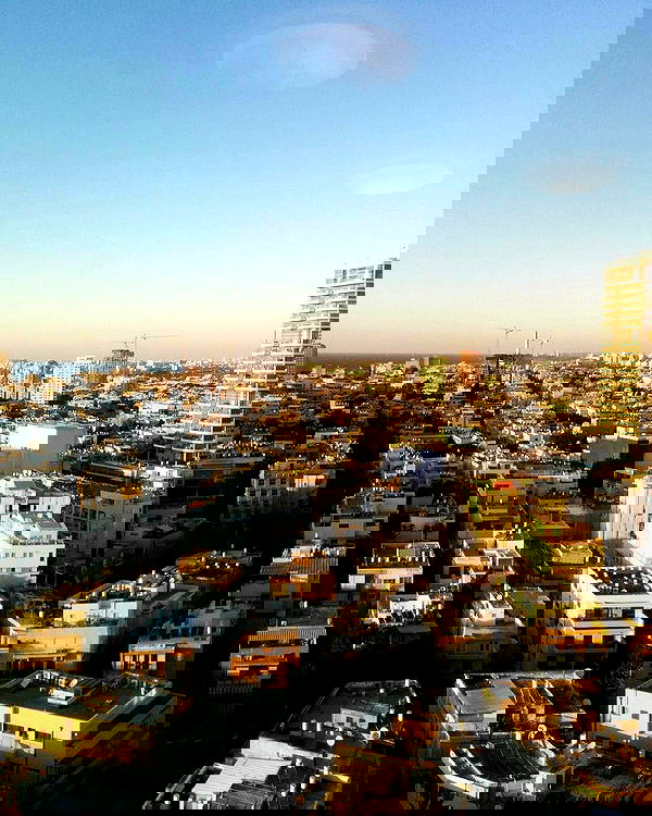 ronyida_ image ~ Altpins