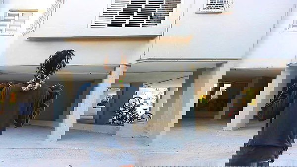 ronyida_ image ~ Altpins