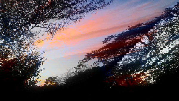 ronyida_ image ~ Altpins