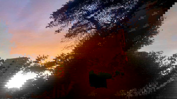 ronyida_ image ~ Altpins