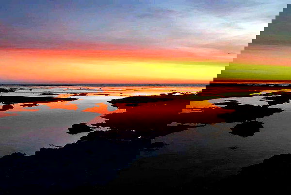 ronyida_ image ~ Altpins