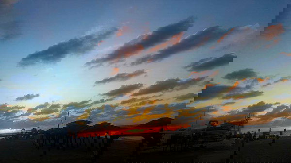 ronyida_ image ~ Altpins