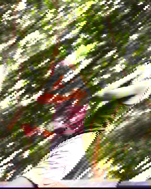 ronyida_ image ~ Altpins