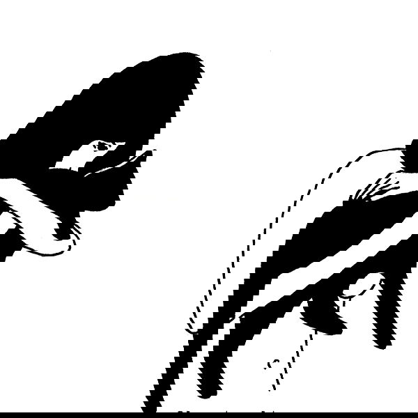 ronyida_ image ~ Altpins