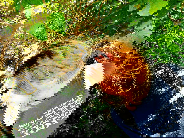 ronyida_ image ~ Altpins