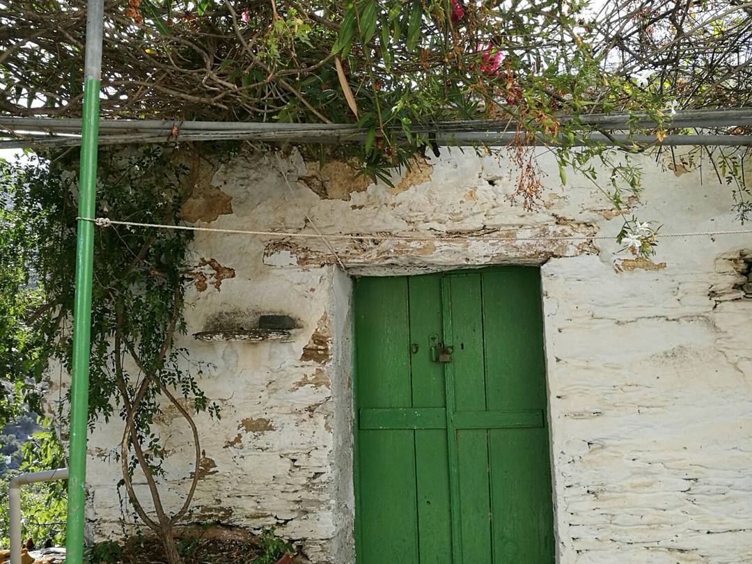 ronyida_ instagram image archive image