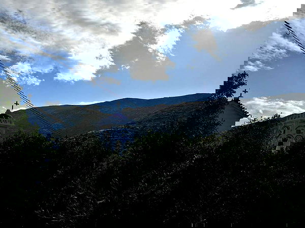 ronyida_ image ~ Altpins