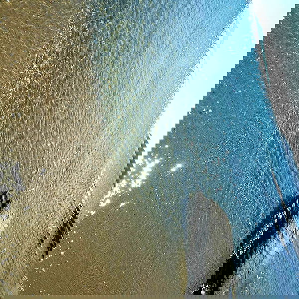 ronyida_ image ~ Altpins