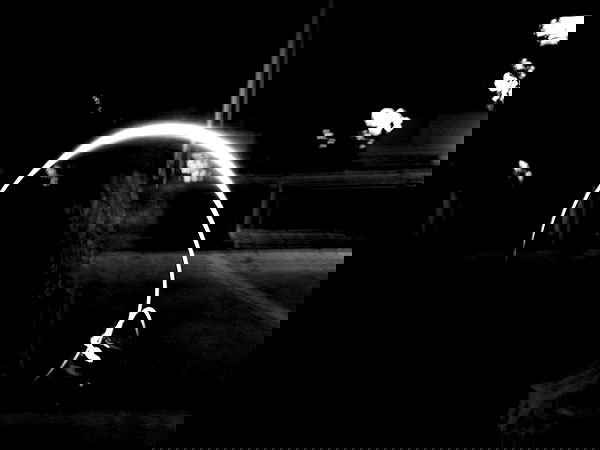 ronyida_ image ~ Altpins