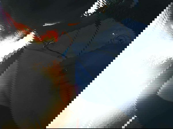 ronyida_ image ~ Altpins