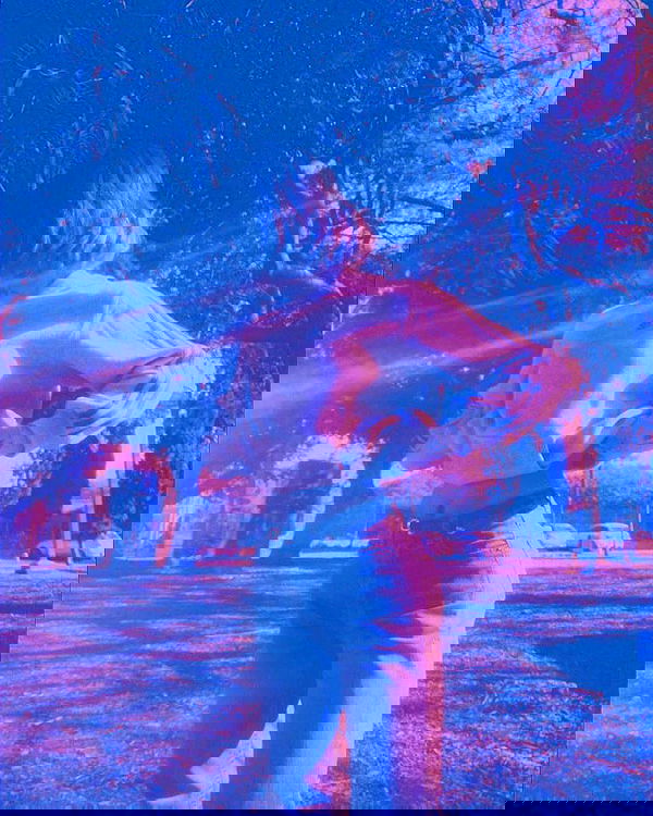 ronyida_ image ~ Altpins