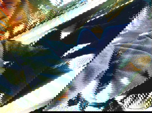 ronyida_ image ~ Altpins