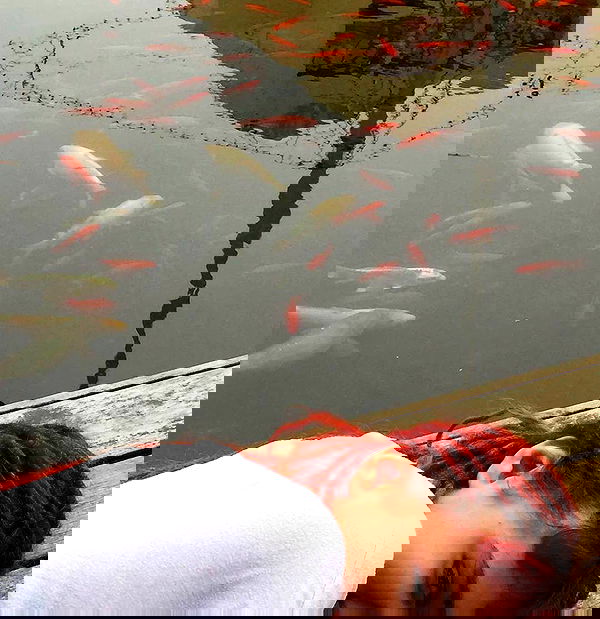 ronyida_ image ~ Altpins