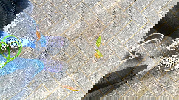 ronyida_ image ~ Altpins