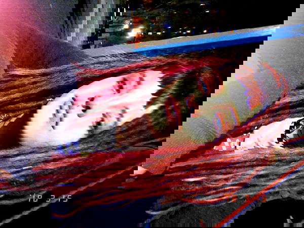 ronyida_ image ~ Altpins