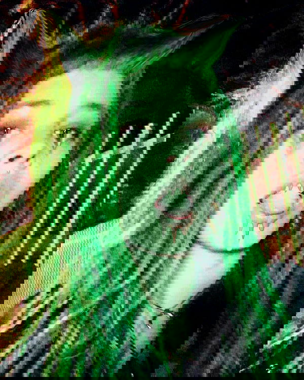 ronyida_ image ~ Altpins