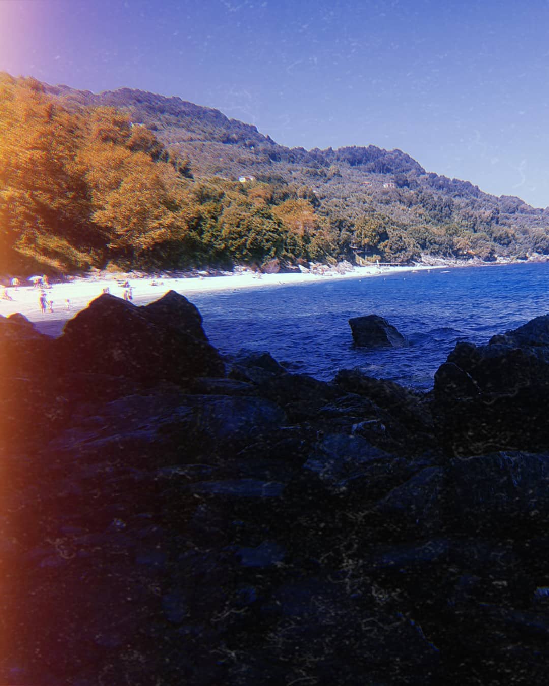 ronyida_ instagram image archive image