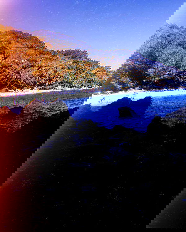 ronyida_ image ~ Altpins