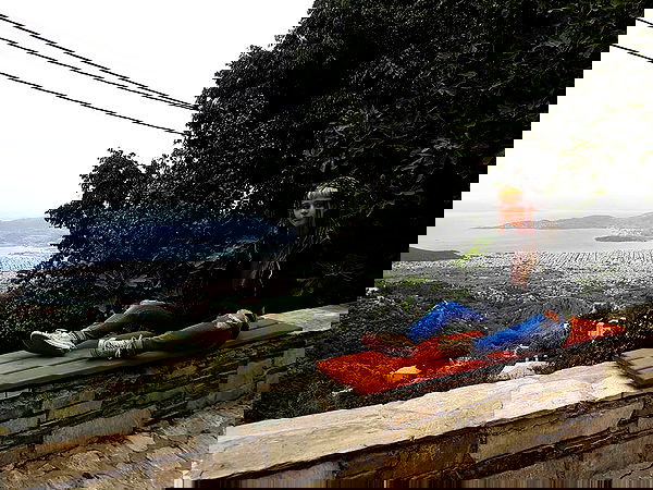 ronyida_ image ~ Altpins