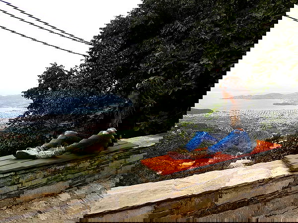 ronyida_ image ~ Altpins