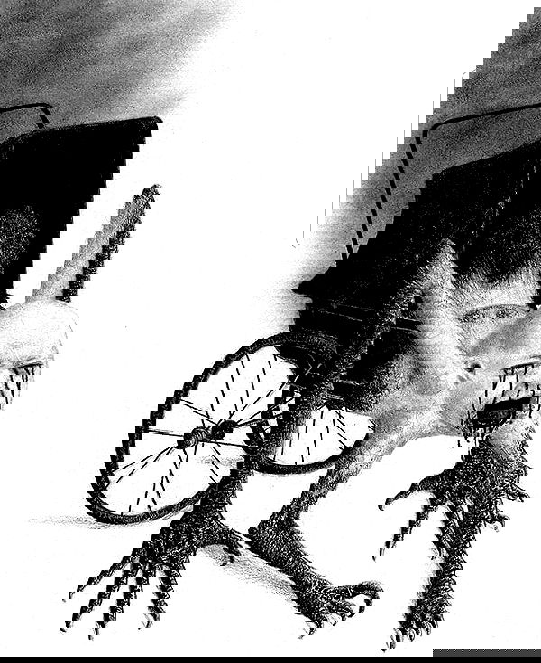 ronyida_ image ~ Altpins