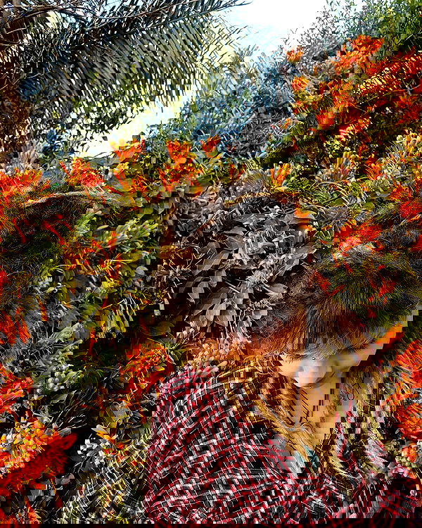 ronyida_ image ~ Altpins