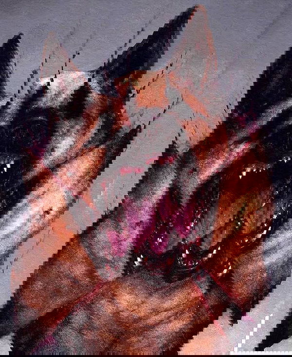 ronyida_ image ~ Altpins