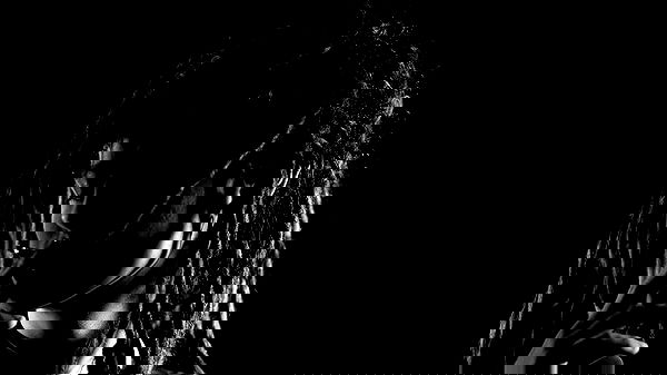 ronyida_ image ~ Altpins