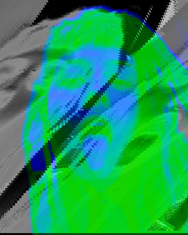 ronyida_ image ~ Altpins