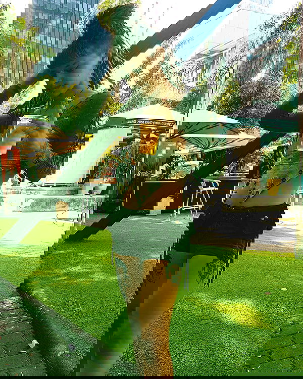 ronyida_ image ~ Altpins