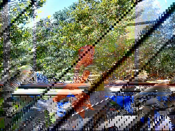 ronyida_ image ~ Altpins