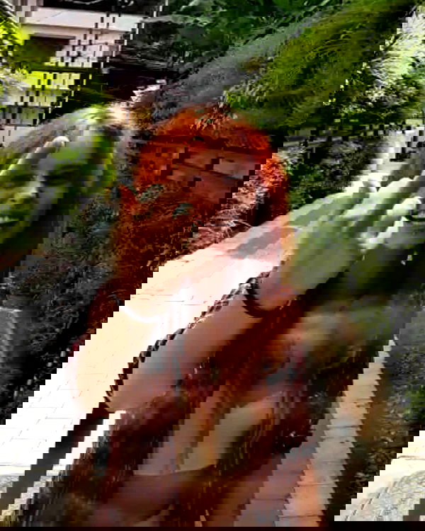 ronyida_ image ~ Altpins