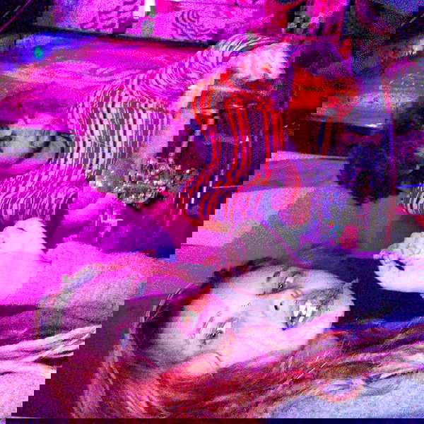 ronyida_ image ~ Altpins