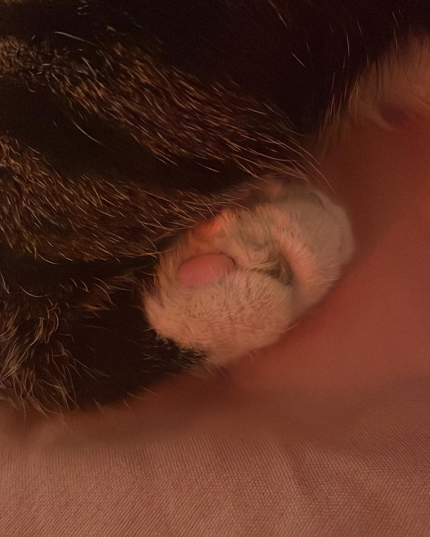 ronyida_ instagram image archive image