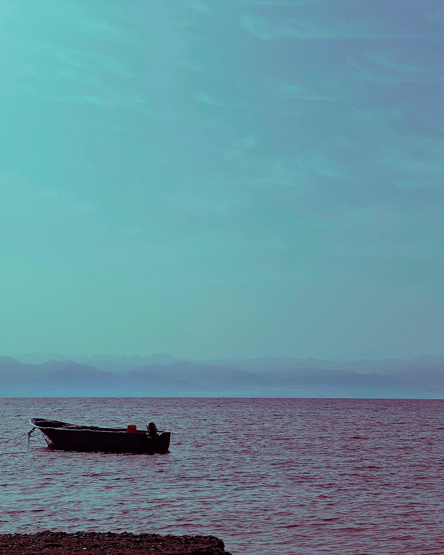 ronyida_ instagram image archive image