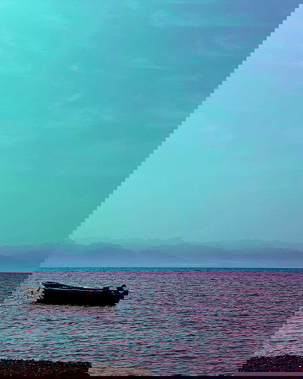 ronyida_ image ~ Altpins