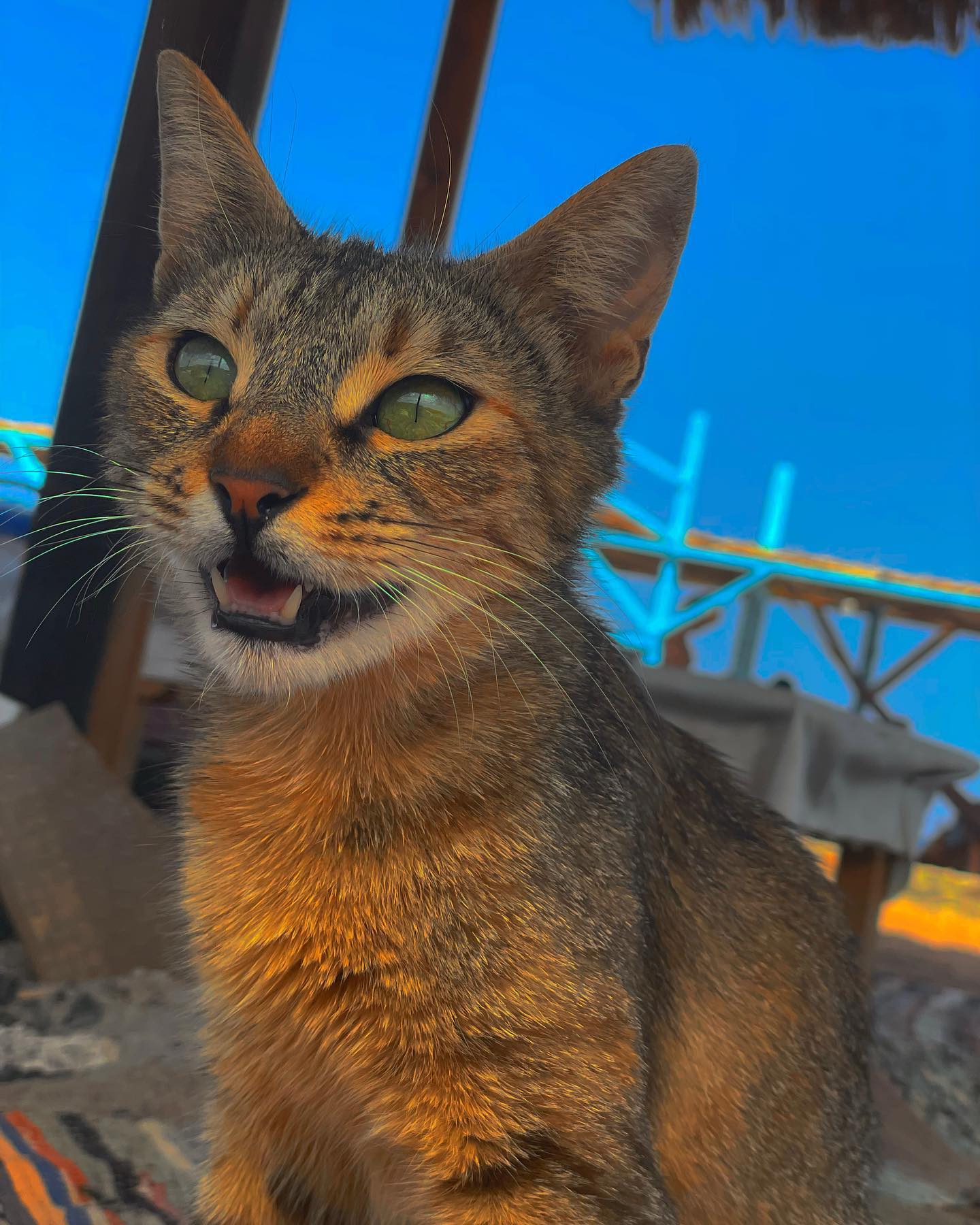 ronyida_ instagram image archive image