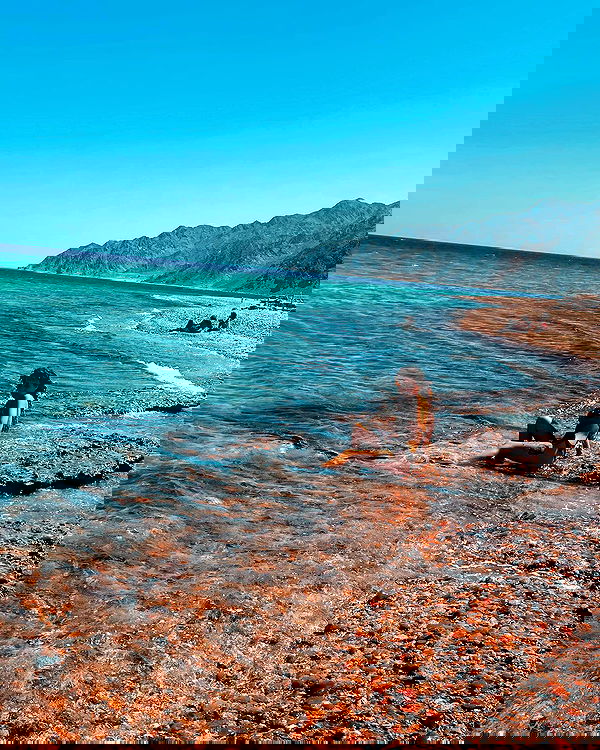 ronyida_ image ~ Altpins