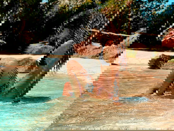 ronyida_ image ~ Altpins