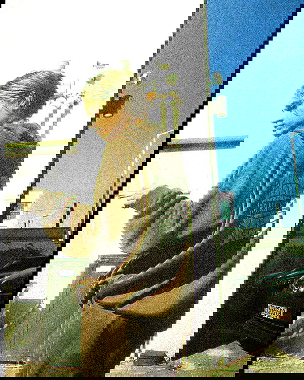 ronyida_ image ~ Altpins