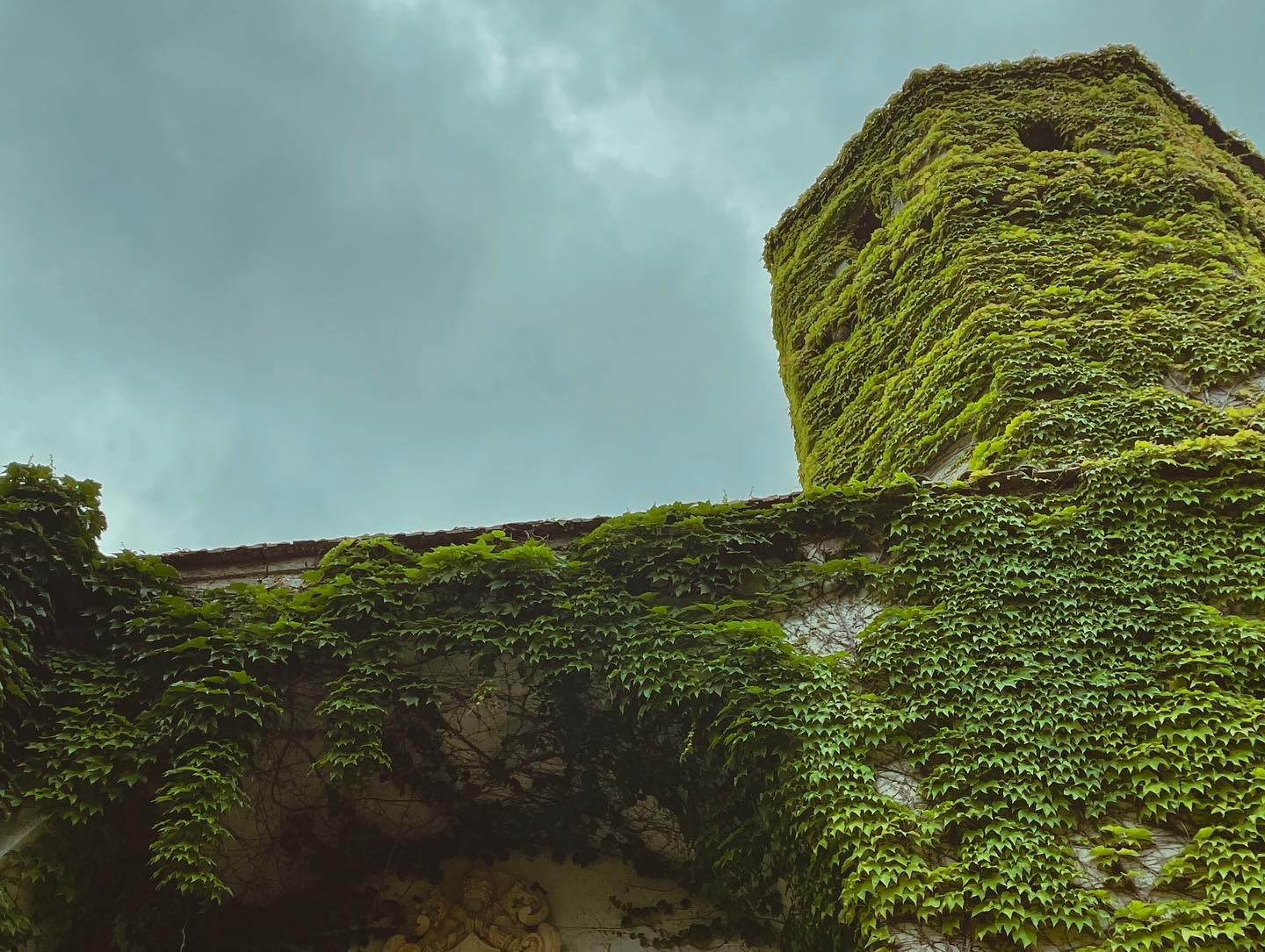 ronyida_ instagram image archive image