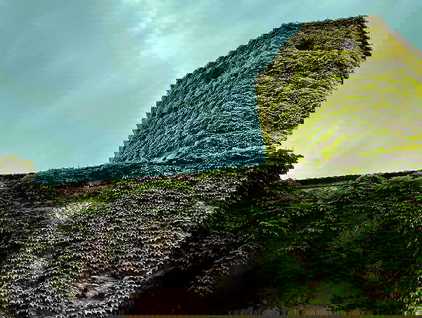 ronyida_ image ~ Altpins