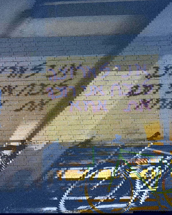 ronyida_ image ~ Altpins