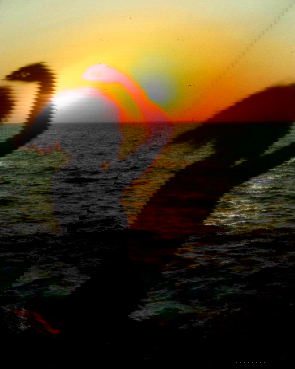 ronyida_ image ~ Altpins