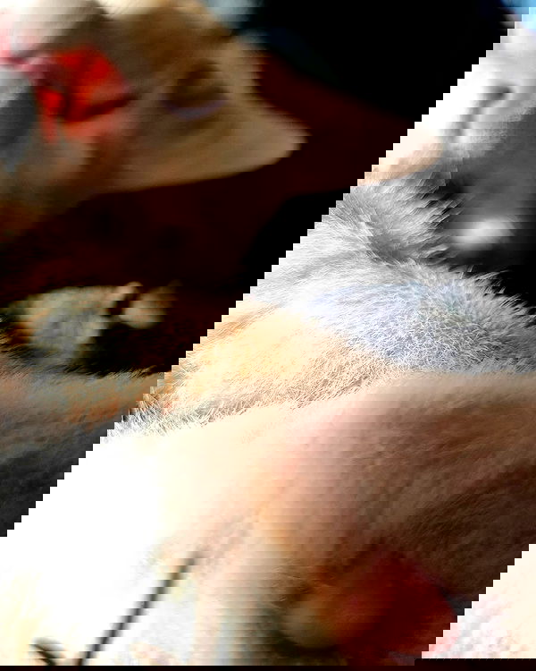 ronyida_ image ~ Altpins